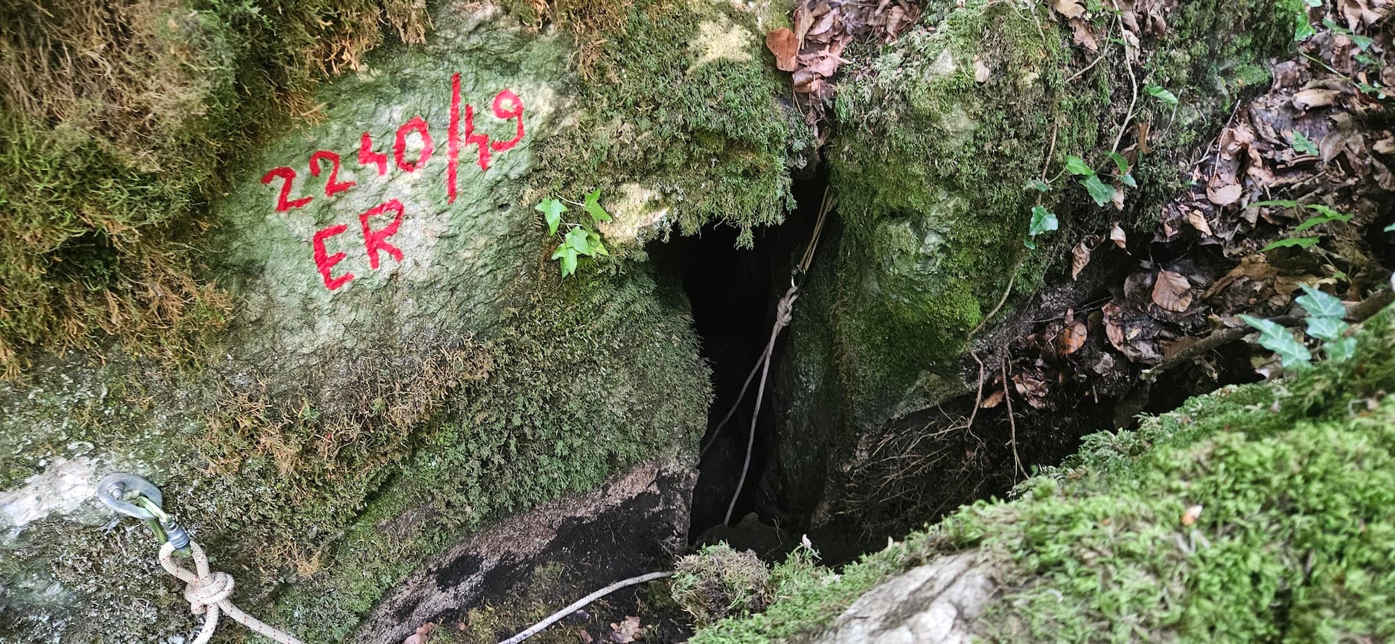 Avenul din Navesul Mare - Image 1