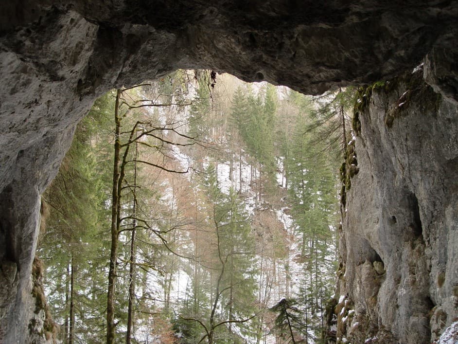 Coltul Surpat_intrare. Foto: Lidia Dragomir