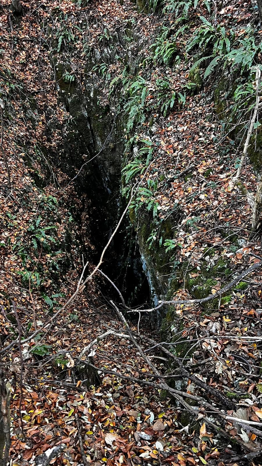 Poșiștăul lui Condrovici