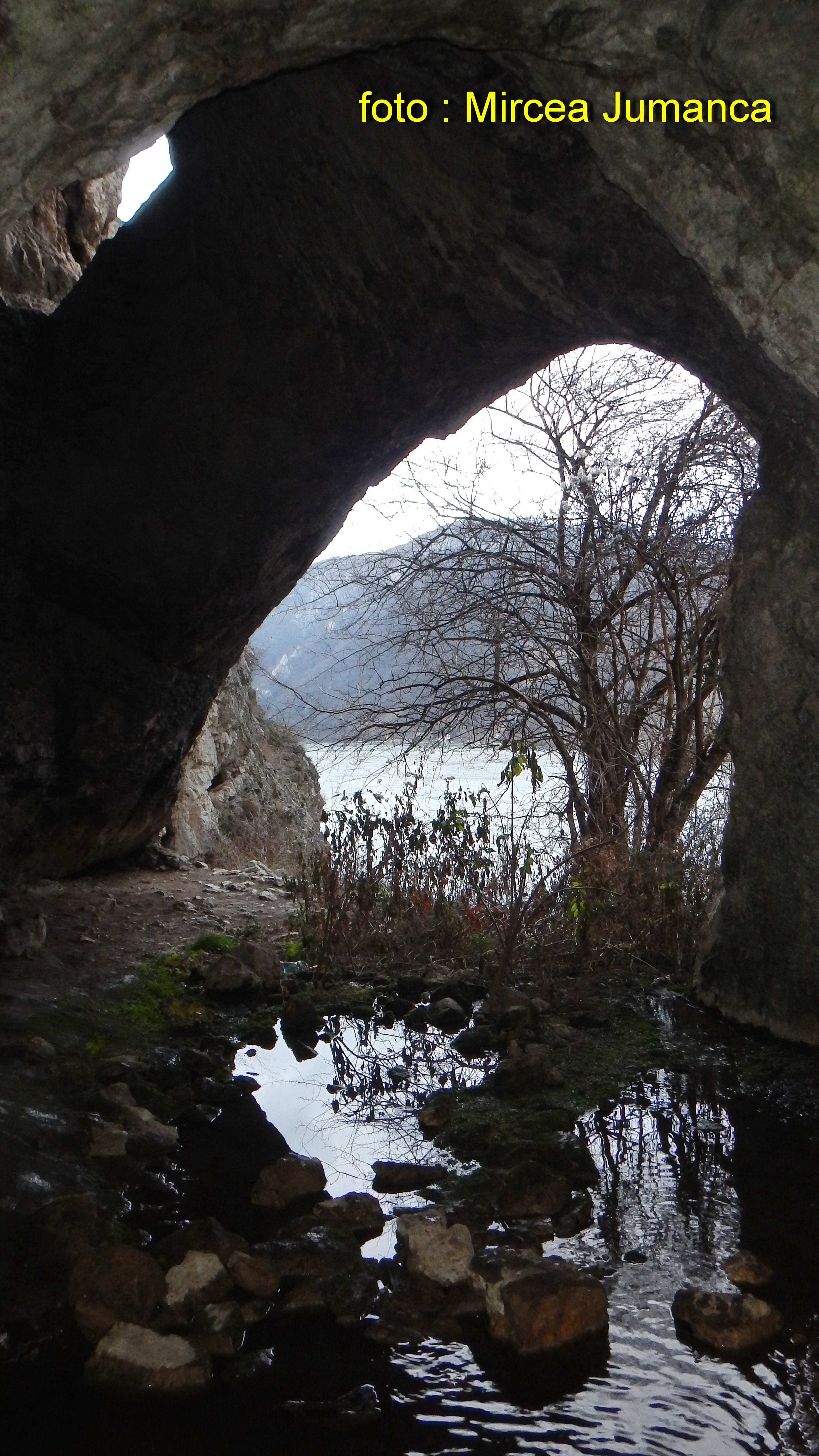 Gaura cu Muscă - Image 12