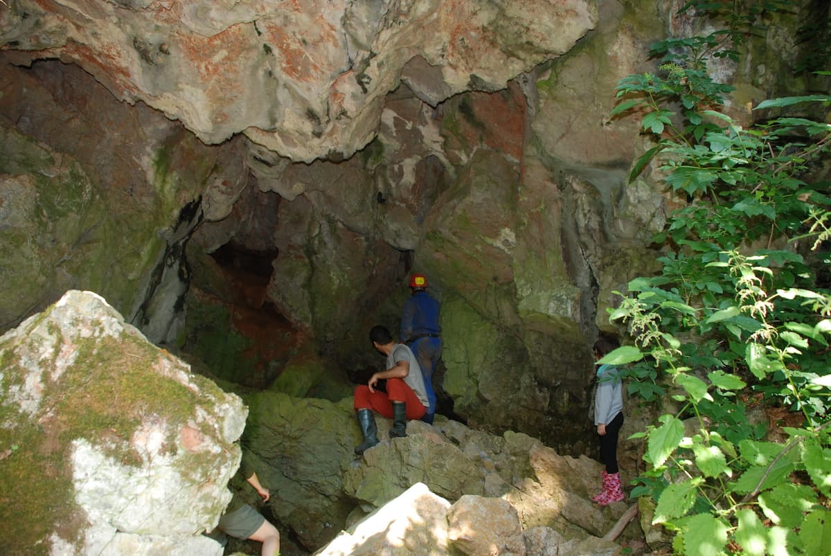 Grota (Gaura) Ursului - Image 1