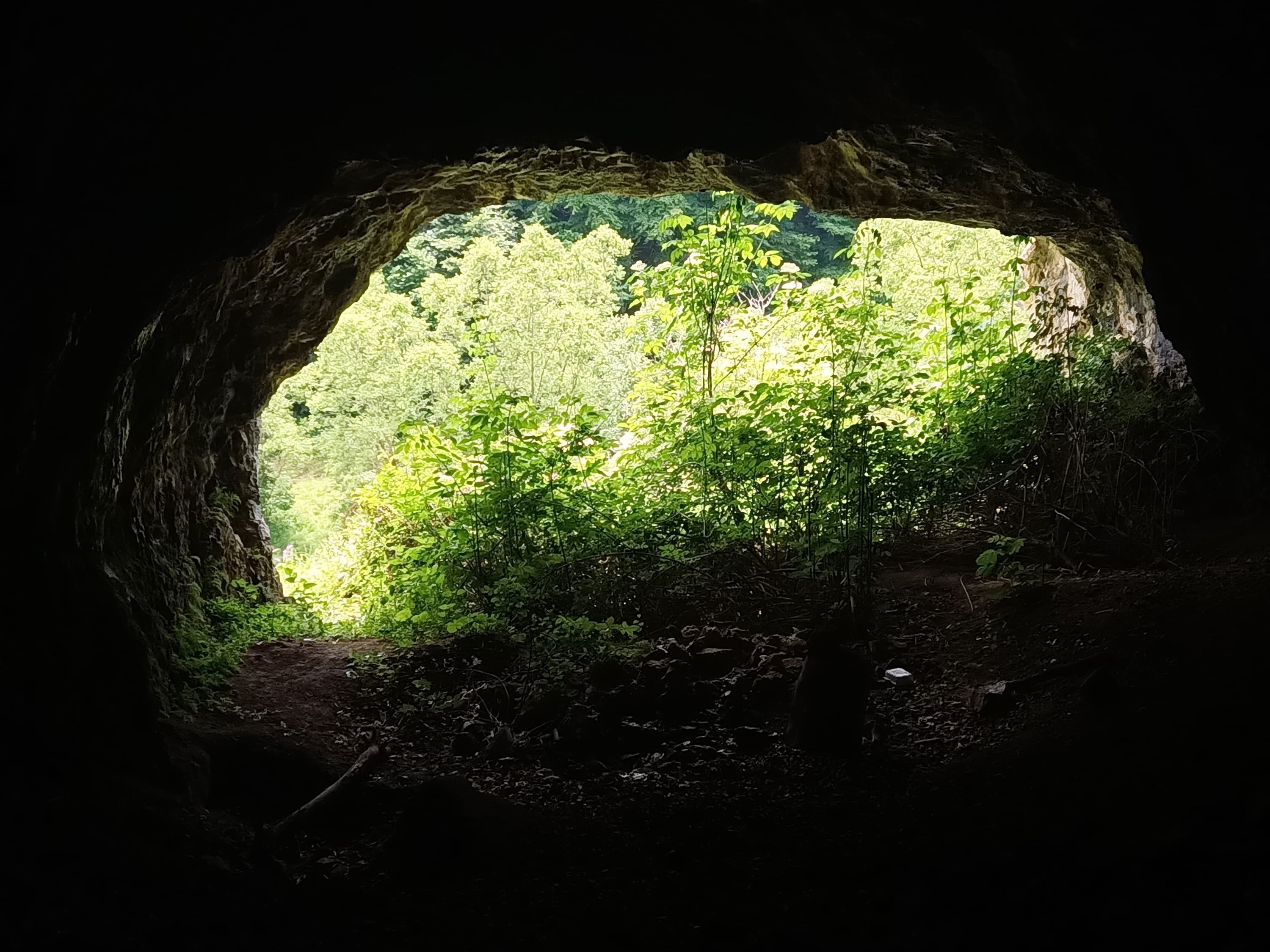 Portal vedere din interior