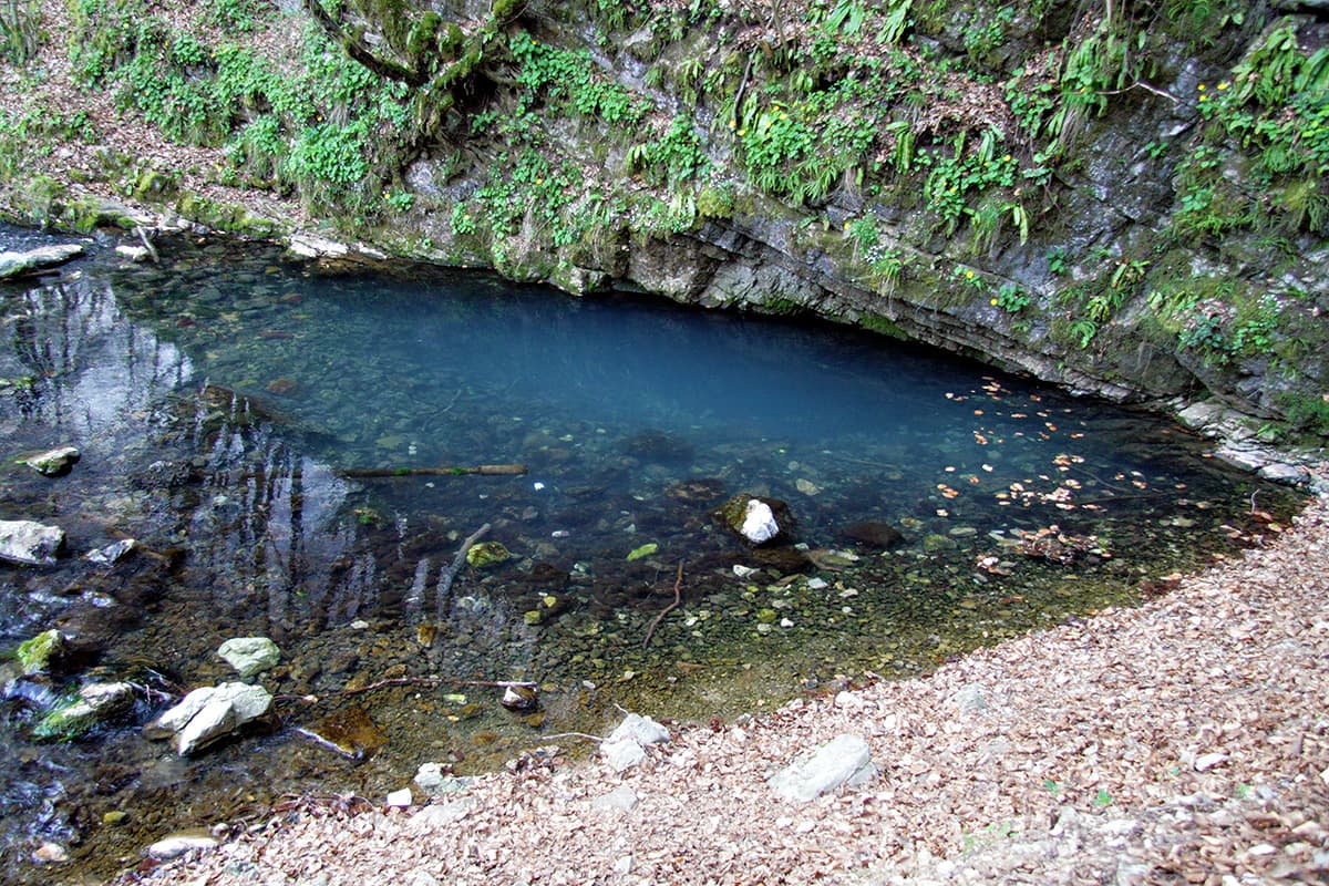 Intrare Izbucul Izbandis - foto: Mihai - Omega Cluj