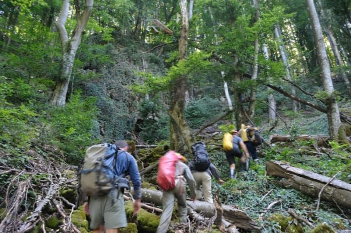 Valea cu travertin aval de pestera - Intrarea pesterii se afla la baza peretului din poza - foto: Ovi Guja 
