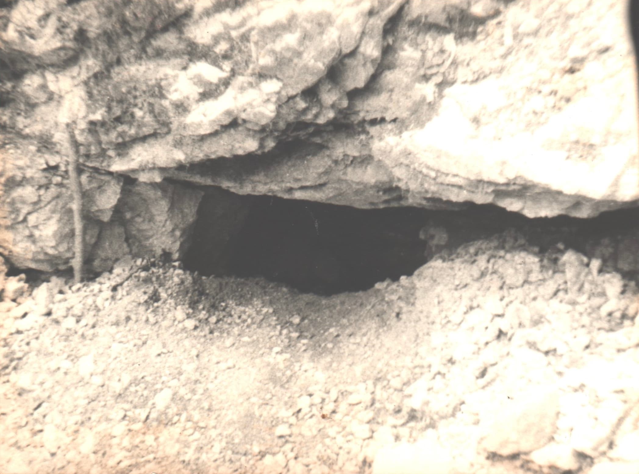 Peștera de sub Poiana Florilor / Peștera Florilor - Image 1