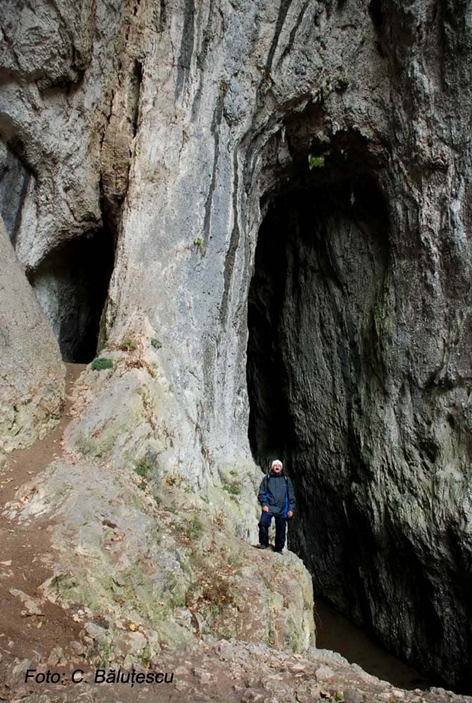 Portal Peștera Cocolbea (Șura Mică) - Foto: Cami Băluțescu