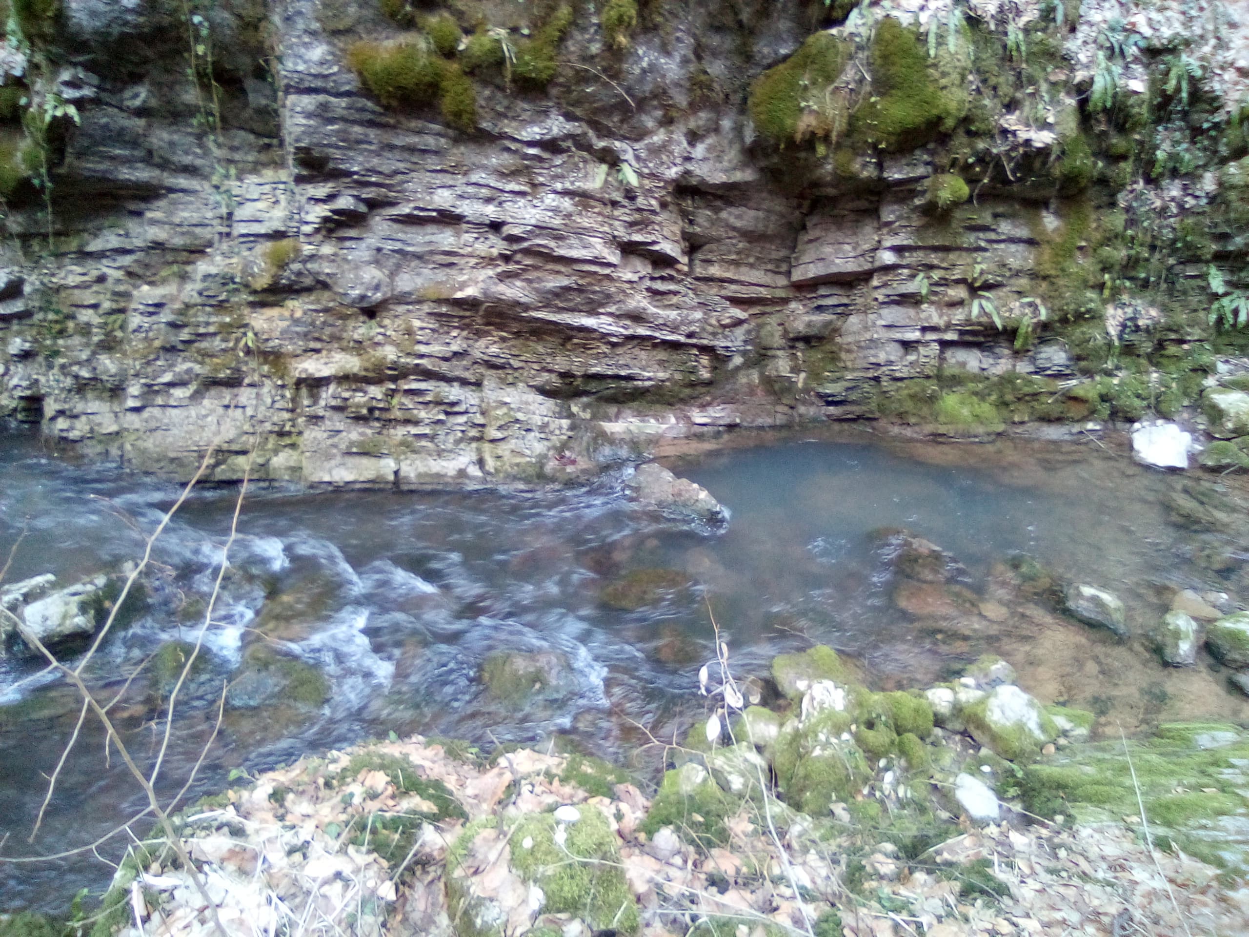 Izbucul Bulbuci (Toplicioarei) - Image 2