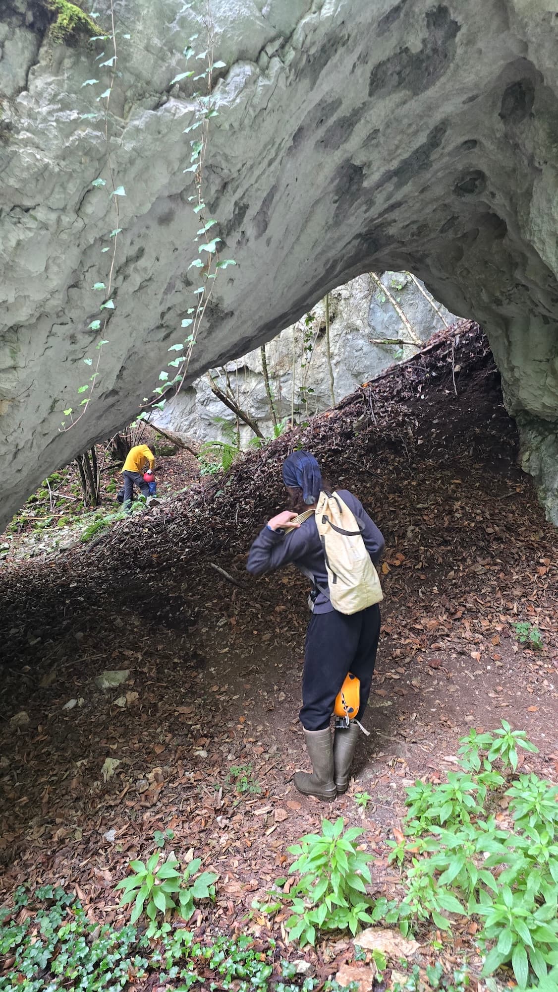 Detaliu pod natural - punte